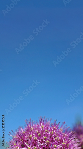 Abstract blue sky background. Background for text.