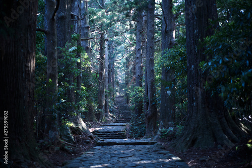 熊野古道