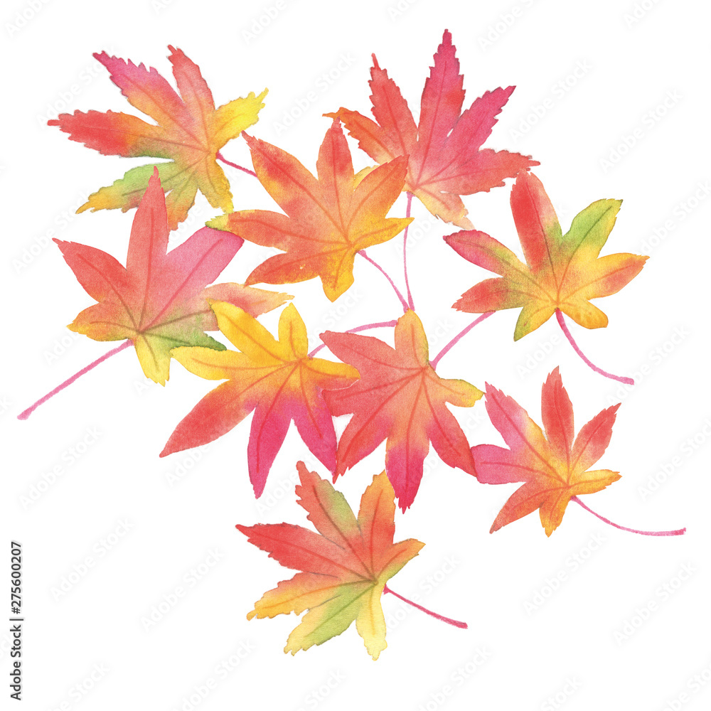 紅葉 落ち葉 水彩イラスト Stock イラスト Adobe Stock 紅葉 落ち葉 水彩イラスト Stock イラスト Adobe Stock