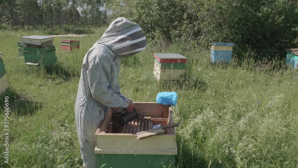 Beekeeper in costume smokes bees in a wooden beehive Beekeeper in costume smokes bees in a wooden beehive
