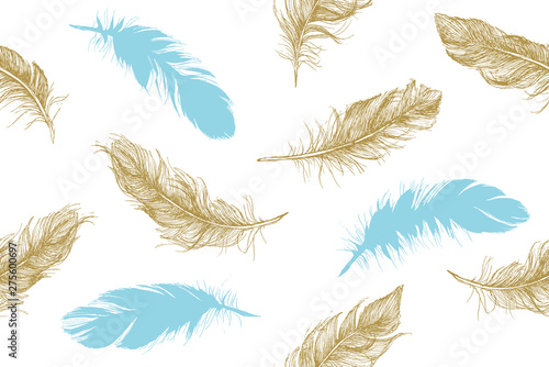 Hand drawn feathers. Doodle sketch.