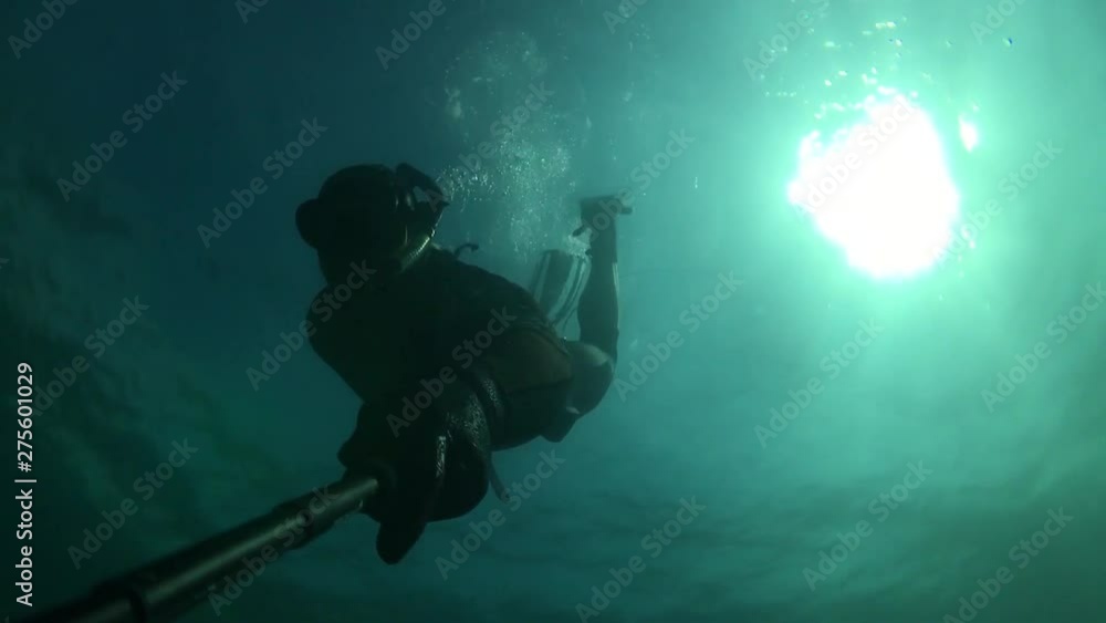 Man duck dives underwater wearing full wetsuit in cold water and holding a selfie stick with go pro. Sun shining beams through water silhouetting diver. Man duck dives underwater wearing full wetsuit in cold water and holding a selfie stick with go pro. Sun shining beams through water silhouetting diver.