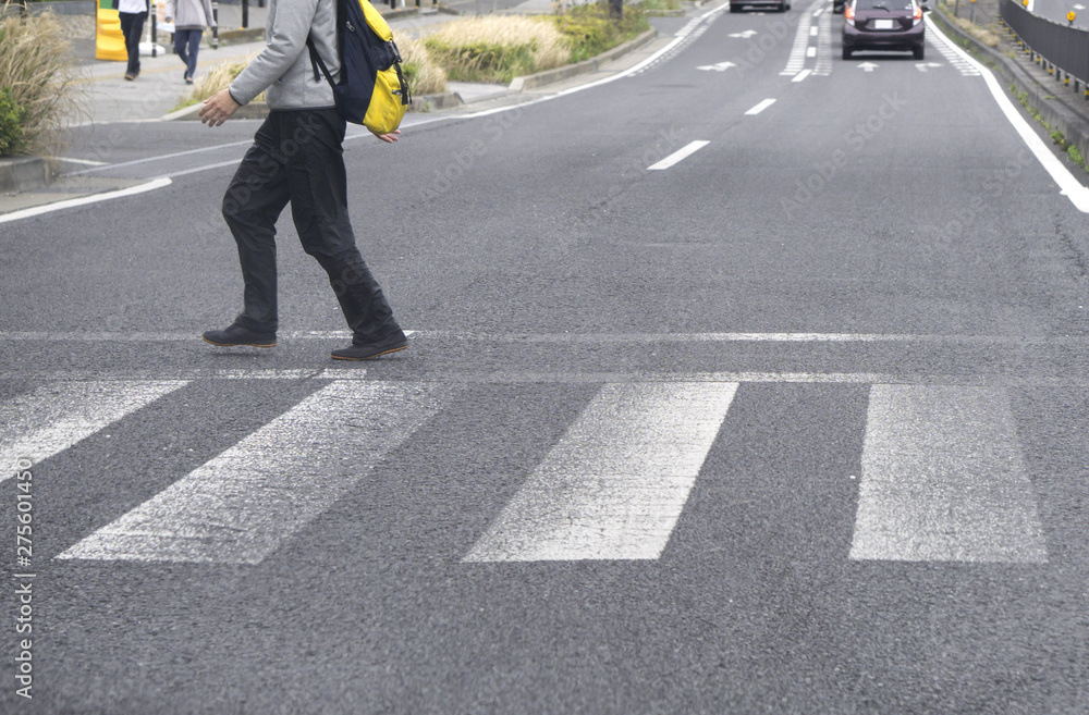 横断歩道 横断者 横断歩道 横断者