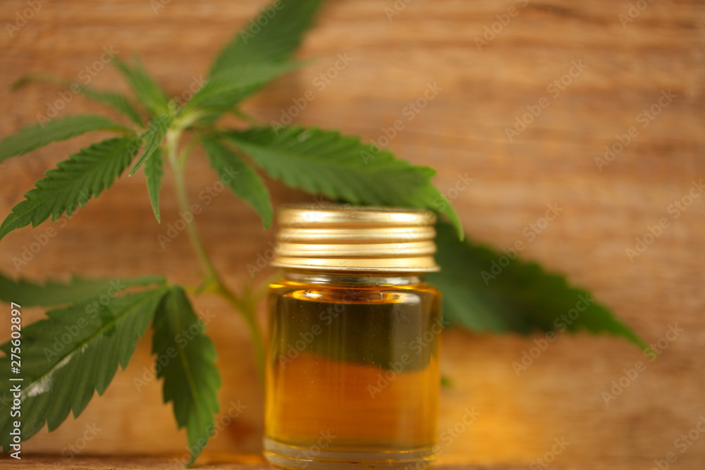cbd oil hemp plant. medical cannabis cbd oil hemp plant. medical cannabis