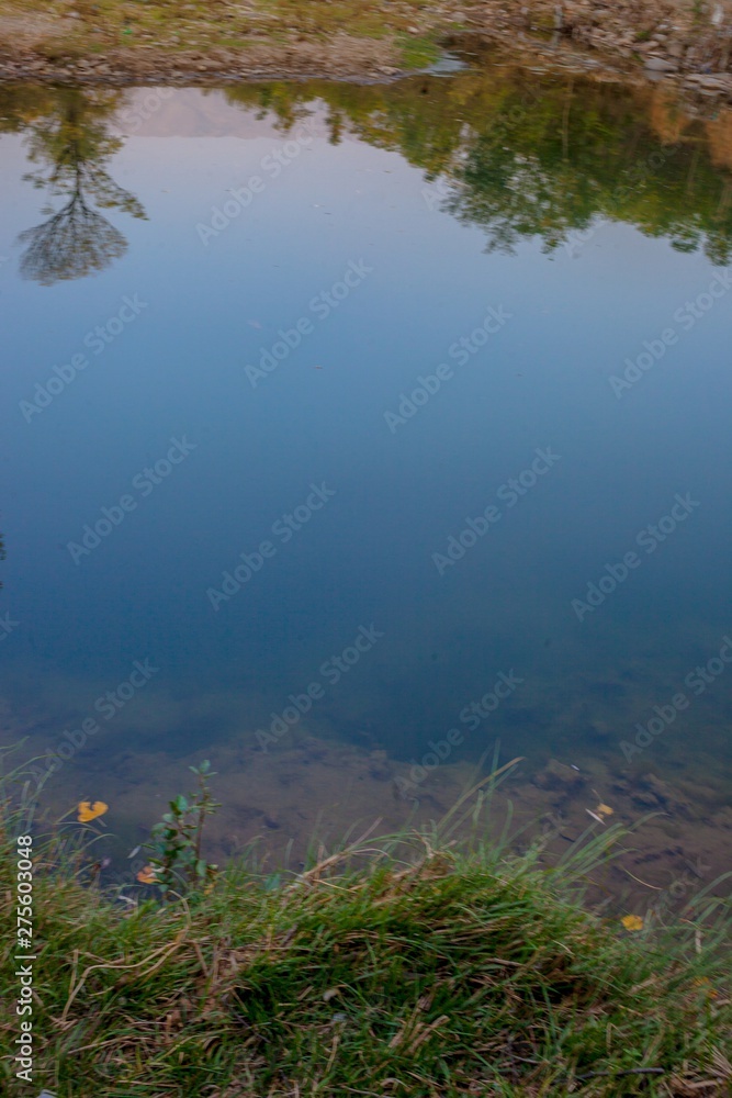 reflections of trees in a pond reflections of trees in a pond