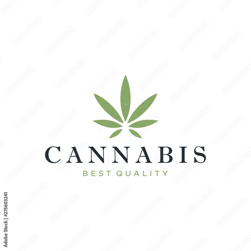 Cannabis logo design concept.