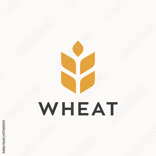 Wheat logo design concept.