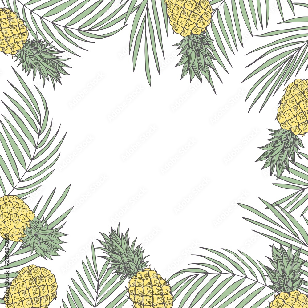 Vector background  with hand drawn tropical plants. Monstera plant.