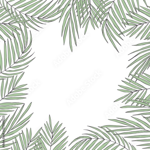 Vector background with hand drawn tropical plants. Palm leaves.