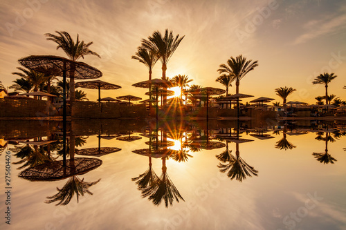 Beautiful romantic sunset over a sandy beach and palm trees. Egypt. Hurghada.