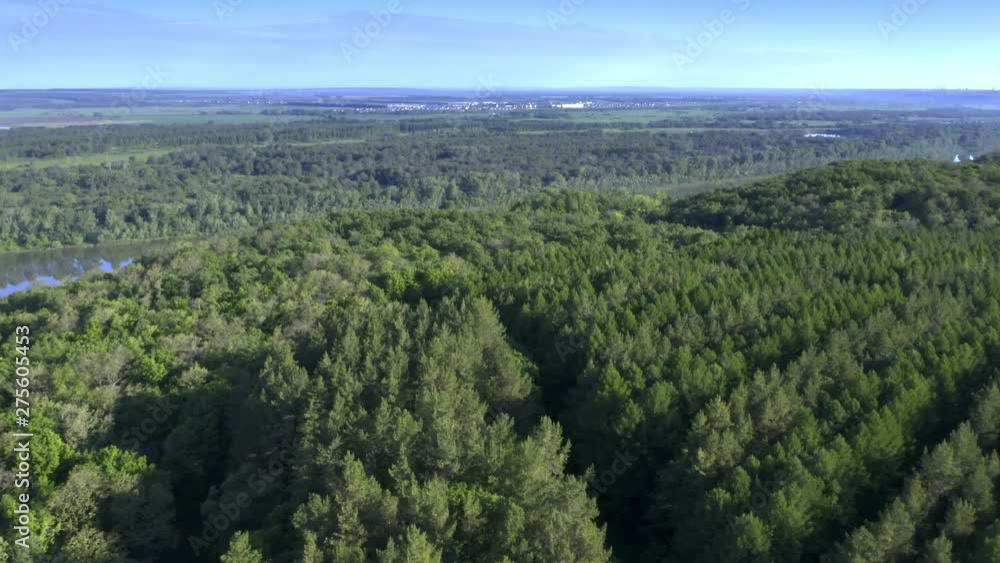Aerial follow shot. Over the pine forest and approach the river. Camera flies over pine trees towards the river. Summer morning. Aerial follow shot. Over the pine forest and approach the river. Camera flies over pine trees towards the river. Summer morning.