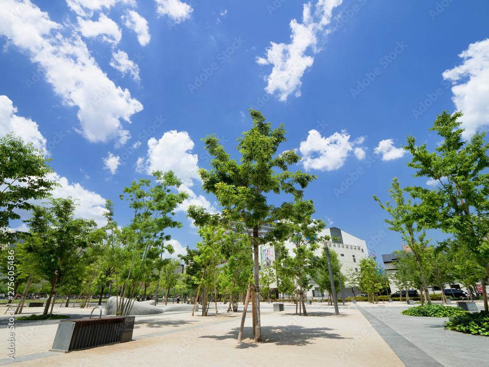 埼玉県川口市　並木元町公園