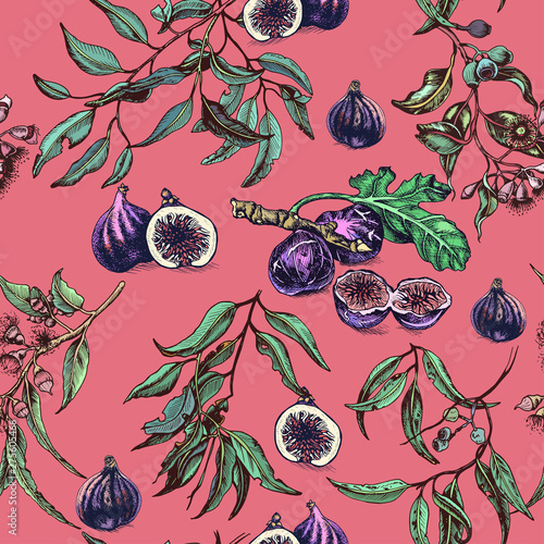 Vector hand drawn fig and eucalyptus pattern. Card with fruit and leaves.