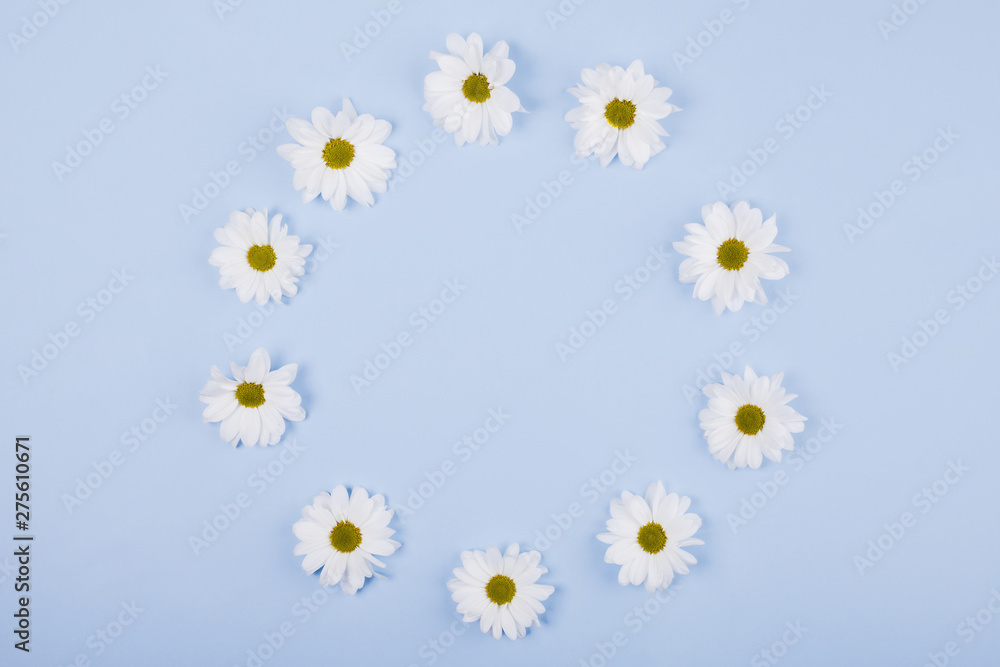 Fototapeta premium Daisies flowers in a circular shape
