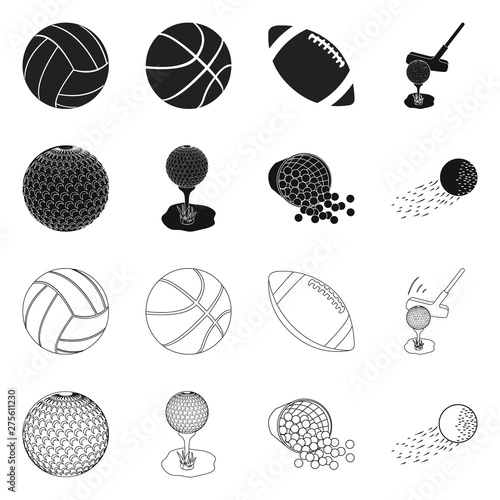Isolated object of ball and soccer icon. Collection of ball and basketball stock symbol for web.
