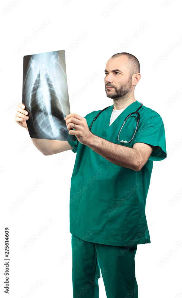 doctor examining a chest x-ray doctor examining a chest x-ray