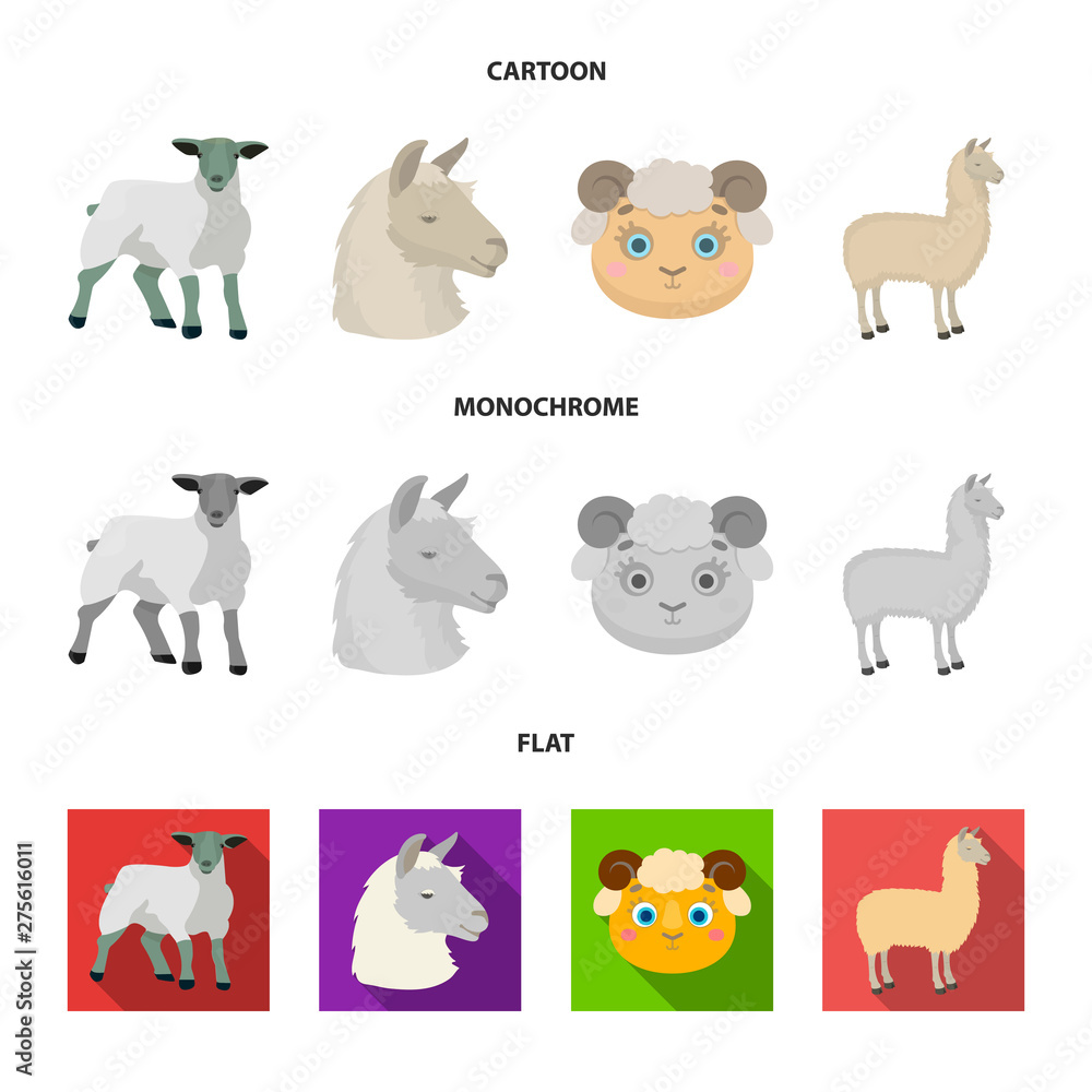 Fototapeta premium Vector illustration of sheep and goat symbol. Collection of sheep and happy stock vector illustration.