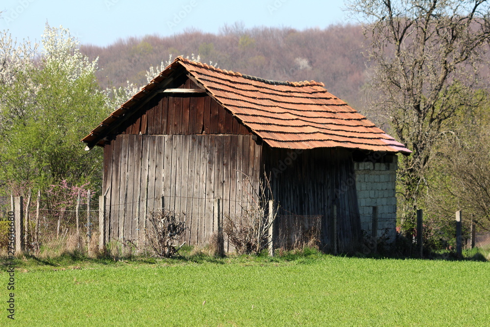 Small dilapidated outdoor storage structure made of wooden boards and concrete building blocks surrounded with grass and dense trees in background on warm sunny spring day