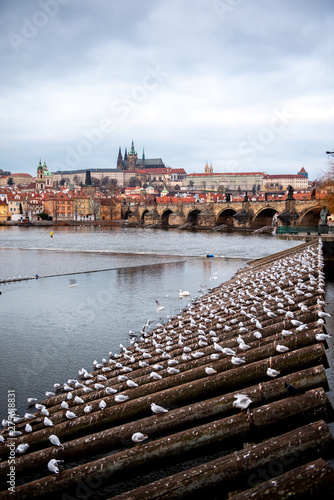 Wallpaper Mural Prague Winter Markets River Torontodigital.ca