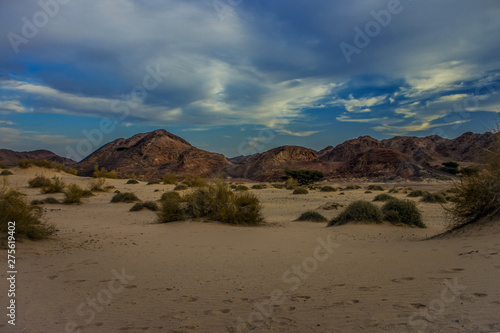 picturesque desert wasteland nature scenery landscape photography with tumbleweed sand valley foreground and bare mountains ridge background in morning twilight sun rise peaceful and calm time