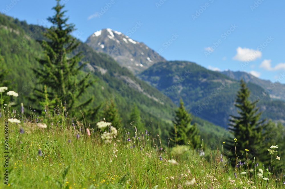 montagne vue depuis la vallée en été