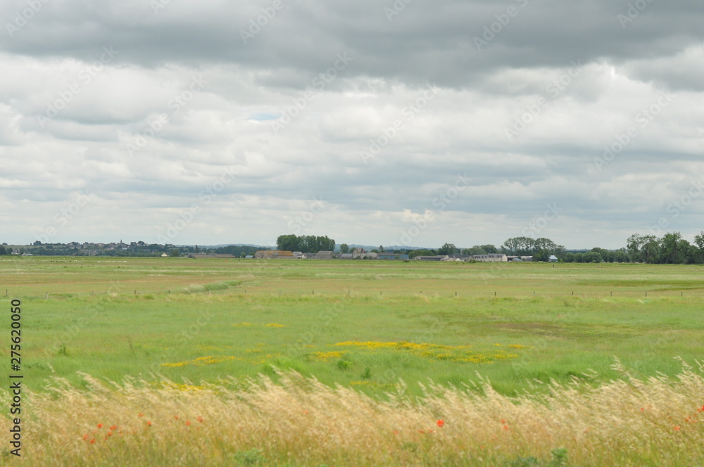 panorama avec prés salés, ciel nuageux et arbres à l'horizon panorama avec prés salés, ciel nuageux et arbres à l'horizon