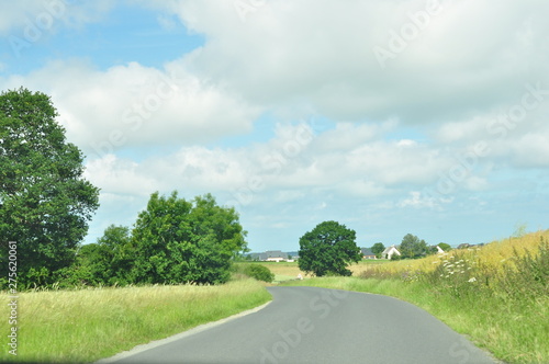 pastel avec route entre arbres et collines en été