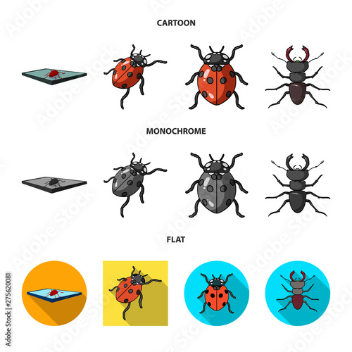 Vector illustration of insect and beetle logo. Collection of insect and halloween stock symbol for web. © pandavector