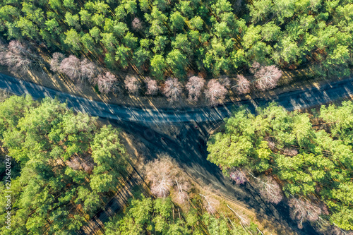 Flying above green forest and cross roads, Poland