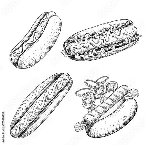 Hot dogs set. Hand drawn sketch style illustration. Fast food. Hot dog constructor with sausage, tomato, onion rings and lettuce. Best for street food designs. Isolated on white. photo