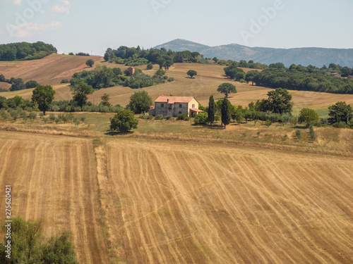 Wallpaper Mural typical landscape of central Italy. . Torontodigital.ca