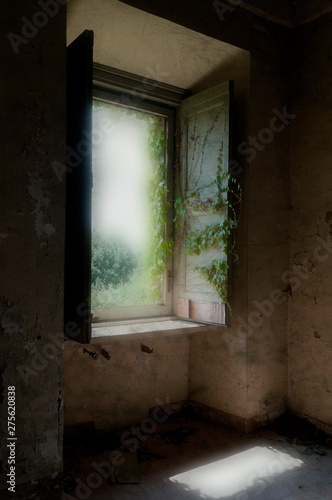 Wallpaper Mural introspection, inner silence Torontodigital.ca