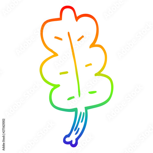 rainbow gradient line drawing cartoon autumnal leaf
