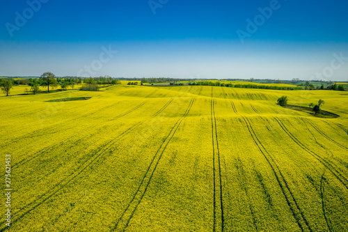 Aerial viewof green and yellow rape fields, Poland