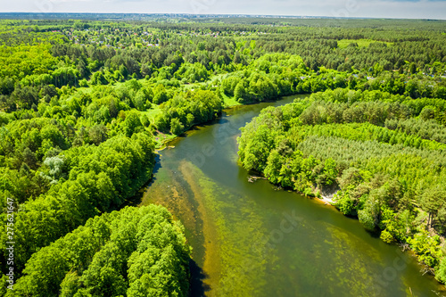 Winding river among the for...