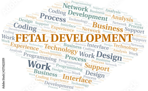 Fetal Development word cloud. Wordcloud made with text only.