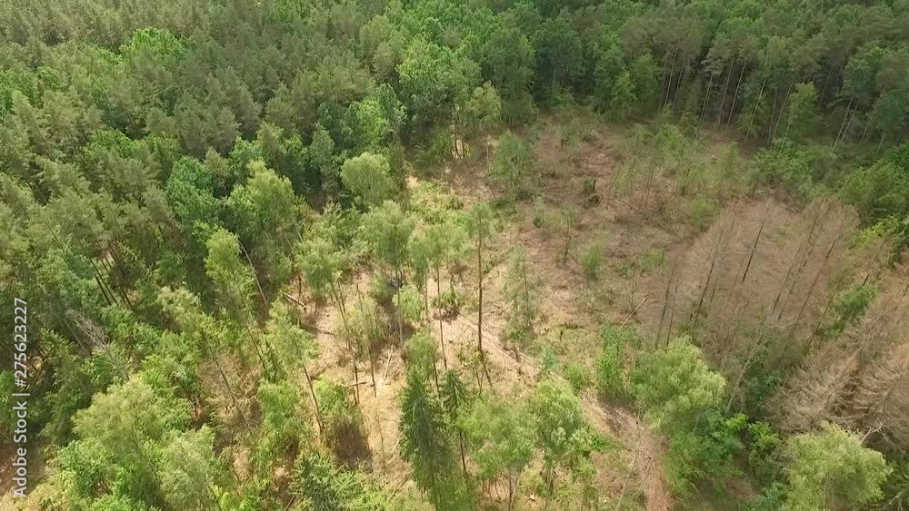 The drone flies over the trees. The drone flies over the trees.
