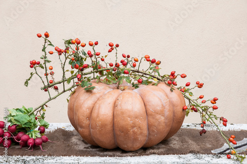 Wallpaper Mural composition of red berries and pumpkin Torontodigital.ca