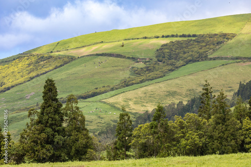 Meadows and pastures in the mountains of Sao Miguel island, Azores