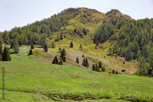 Panoramic view of flowering meadows and woods in the Swiss mountains in spring.