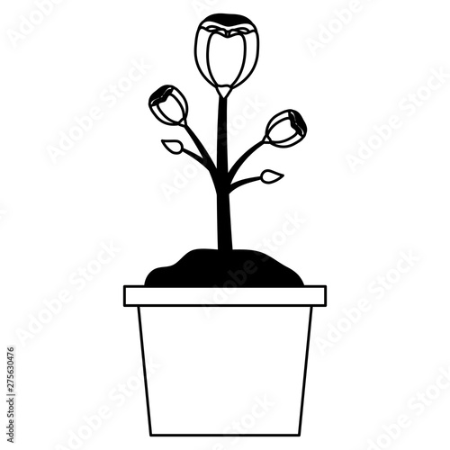 tools decoration gardening flat design