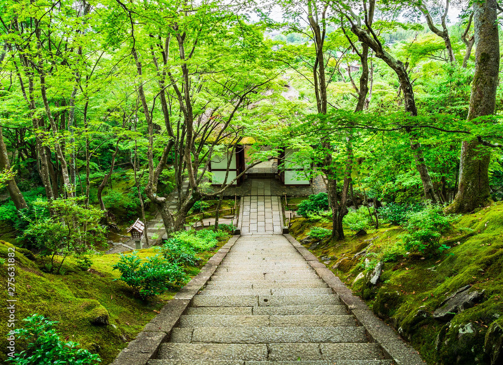 Obraz premium 京都 常寂光寺