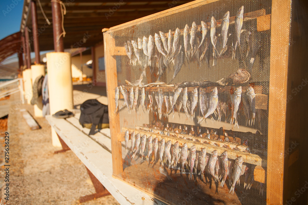 fish is dried in  sun on  background of sea