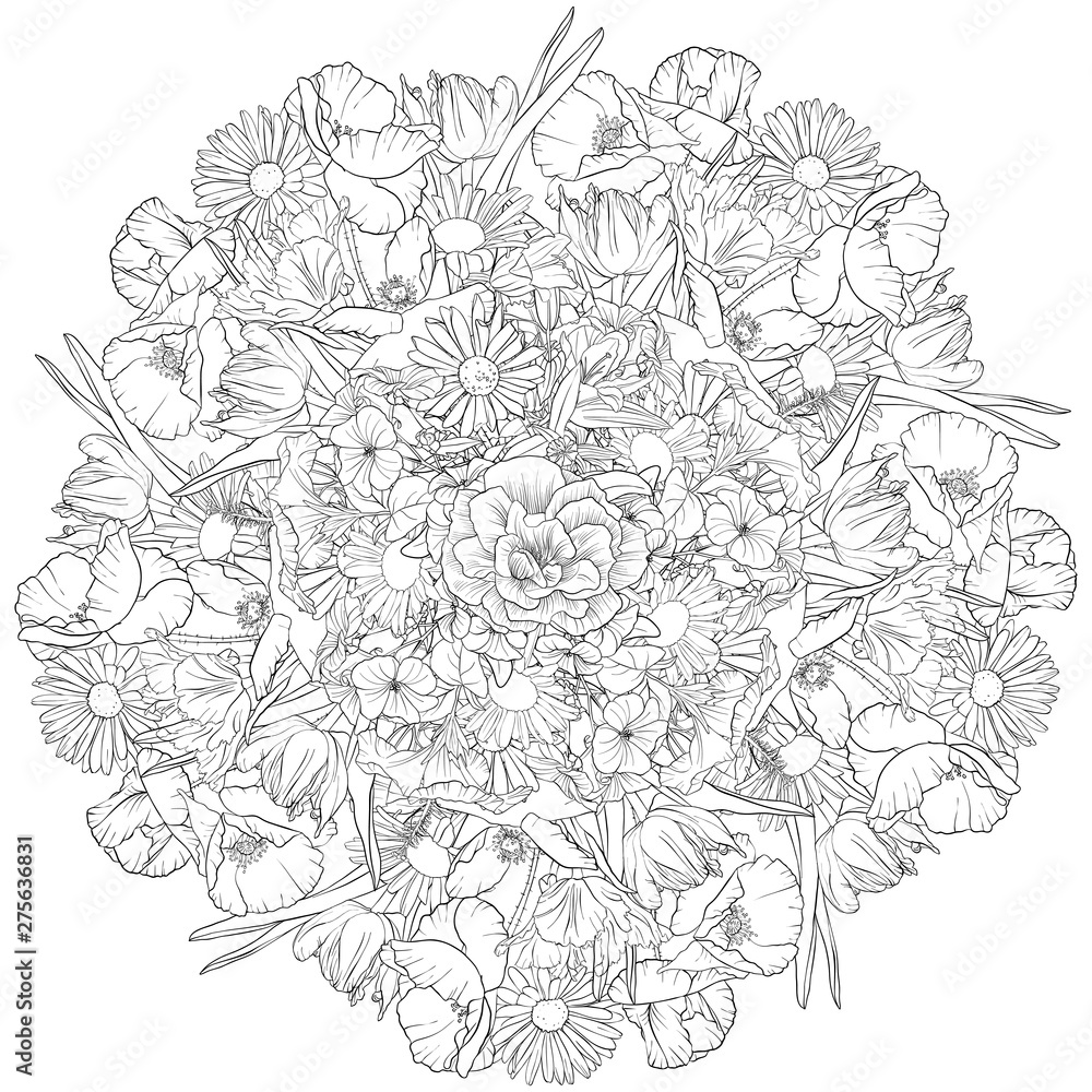 vector drawing flowers