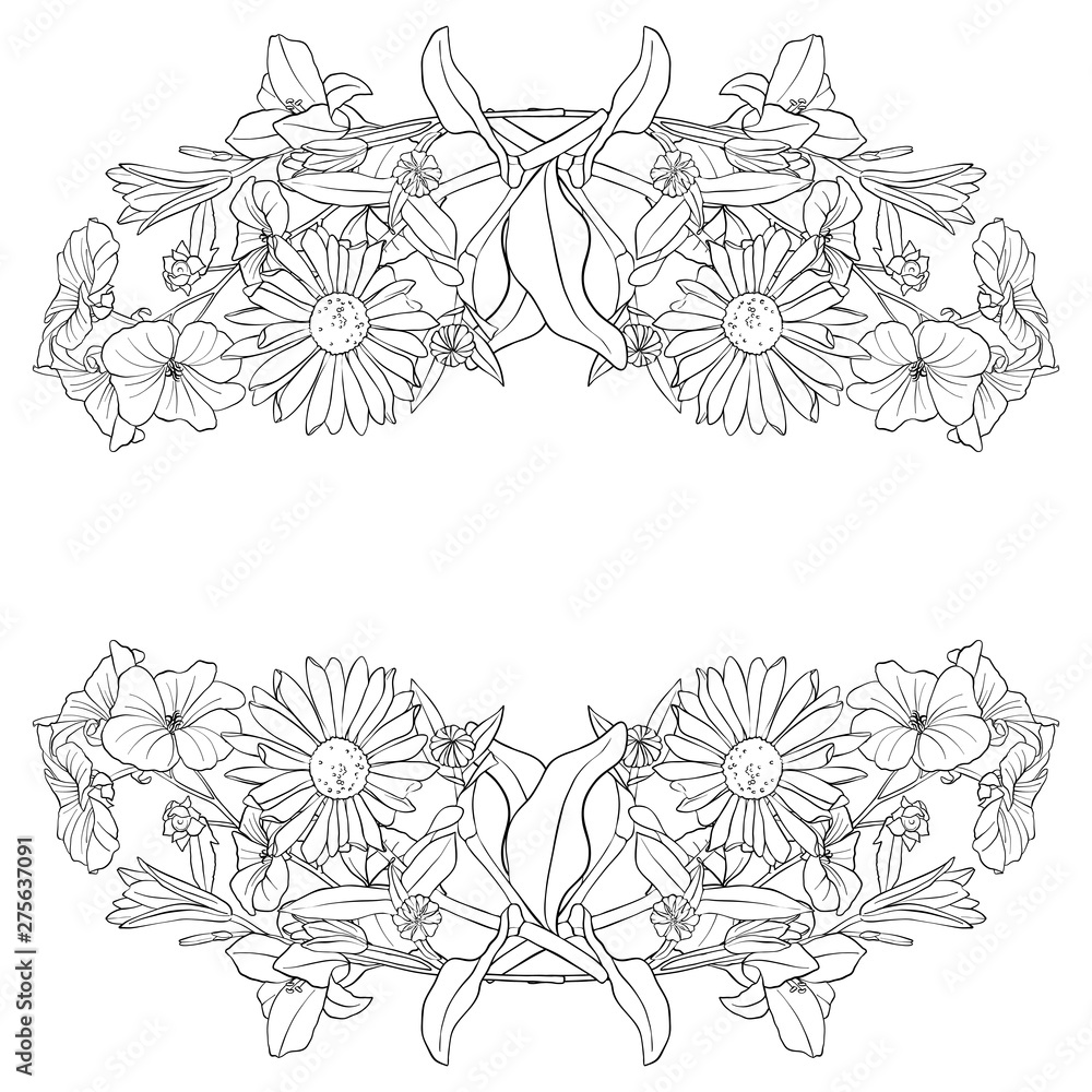 Fototapeta premium vector drawing leaves