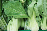 fresh pakcoy vegetables neatly arranged in the market basket