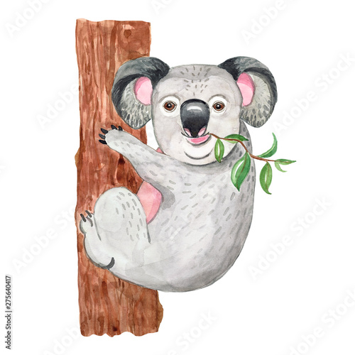 Canvas Print Watercolor illustration with cute koala