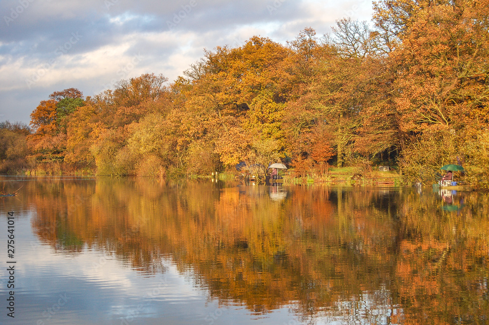 Autumn lake reflections