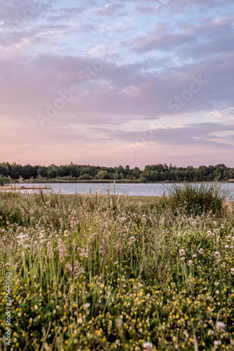 landscape with river and bl...