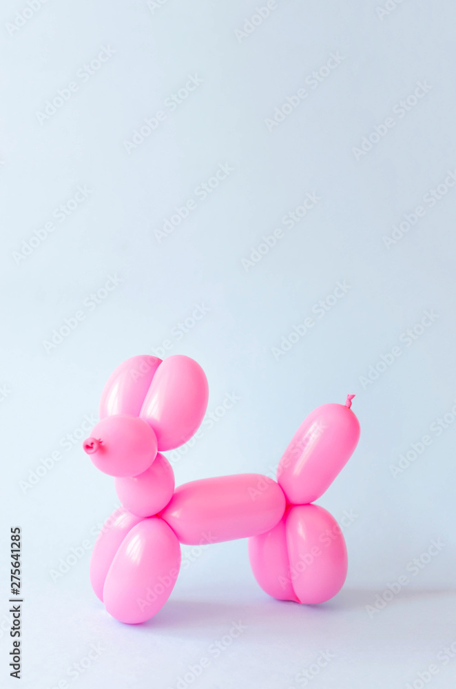 Balloon in the form of a dog on a blue background.